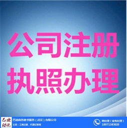 武漢巴迪商務服務 專業代賬與工商執照代理，助力企業高效運營